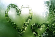 开云体育APP下载-温网力克蒙特卡洛大师赛，蒂姆统治全场的简单介绍