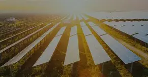 拉丁美洲球员技术水平提升，备受赞誉
