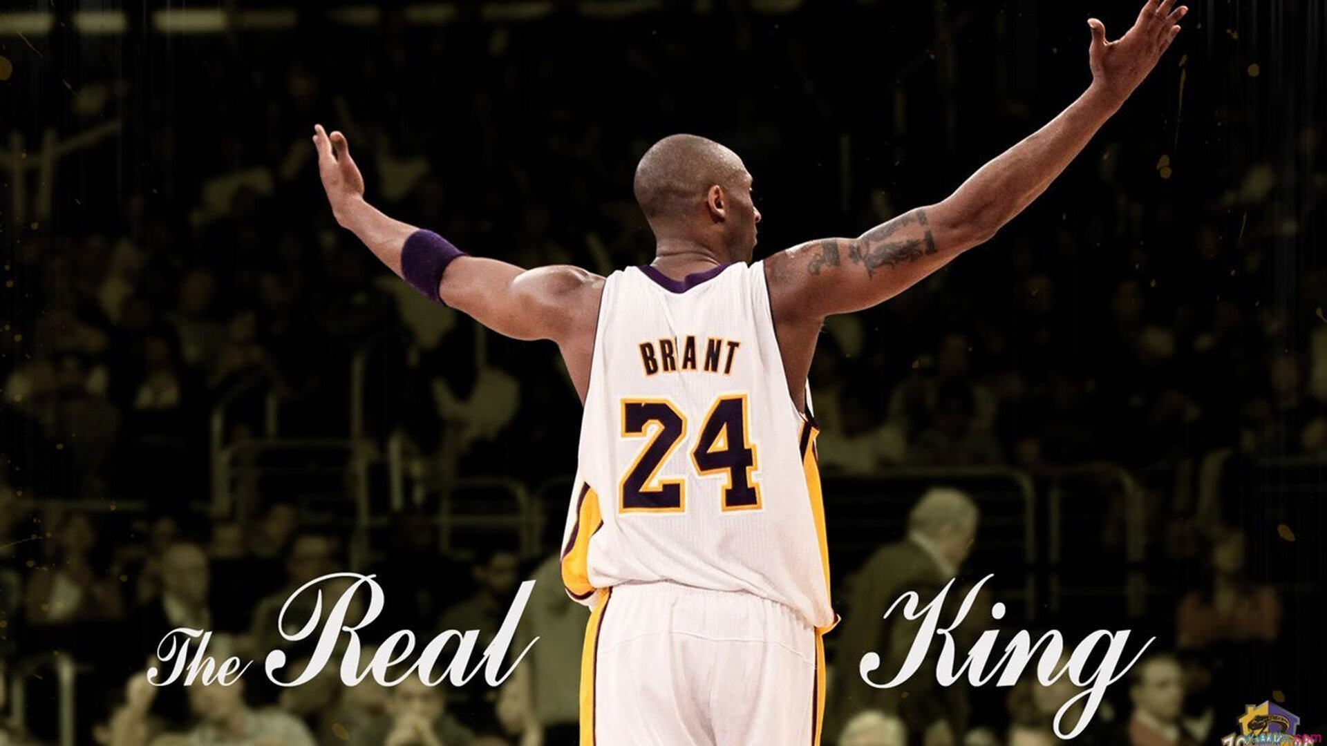 铜墙铁壁与闪电之矛,当拉亚的炽热天赋撞碎伊拉克的钢铁防线