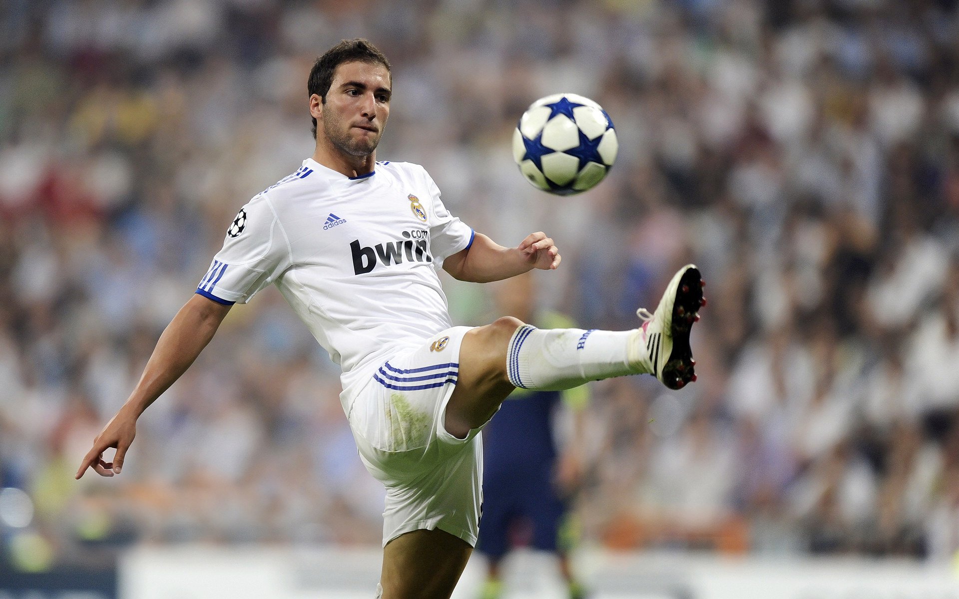 以下是为你构思的文章